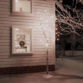 Betulla Con Led Bianco Caldo 240 Led 300 Cm /