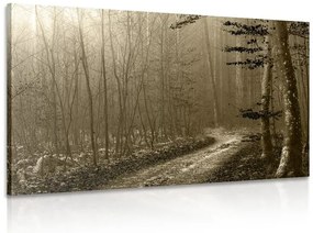 Quadro su tela – Sentiero nella foresta in seppia