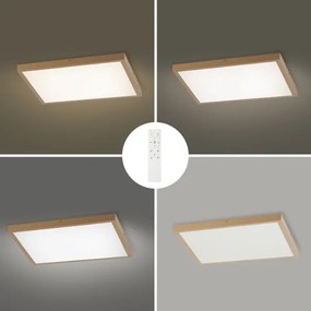 Brilagi - Lampada LED dimmerabile per bagno FRAME SMART LED/50W/230V 60x60 IP44 + Telecomando