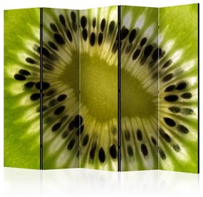 Paravento fruits: kiwi II [Room Dividers]