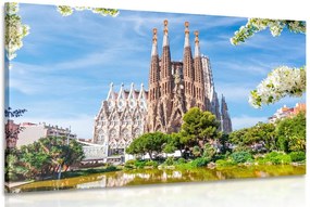 Stampa su tela – Cattedrale di Barcellona