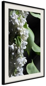 Poster  Fragrant Spring  Cornice Quadri Cornice nera con pass-partout, Larghezza x Altezza Home decor 30x45