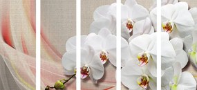 Quadri 5 pezzi – Orchidea bianca su tela