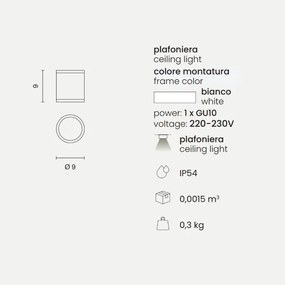 Plafoniera per esterni JUBO in alluminio Bianco con diffusore in vetro D9 cm