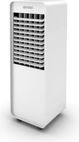 RAFFRESCATORE PELER 10 WIFI EVAPORATIVO