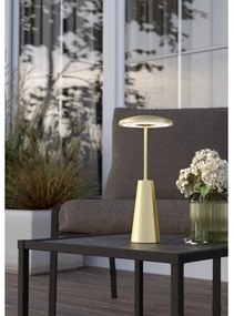 Eglo 900923 - Lampada LED dimmerabile da esterno PICCOLA 2,8W/5V 5200mAh IP54 oro