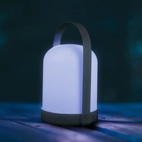 Lampada da tavolo decorativa LED RGBW MINORKA LED/0,3 W/4,5 V 3xAA