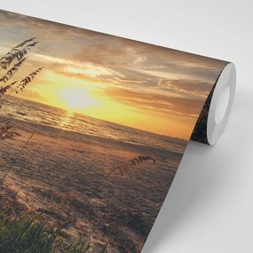 Carta da parati – Tramonto sulla spiaggia
