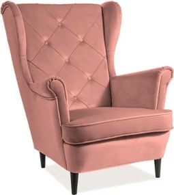 Poltrona Lady in velluto rosa - Blu52/wenge