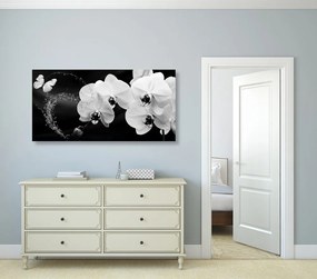 Stampa su tela – Orchidea e farfalla in bianco e nero