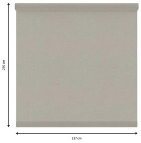 Tessuto per tende a rullo filtrante INSPIRE Brisbane beige 237 x 250 cm