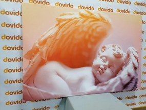 Stampa su tela – Piccolo angioletto