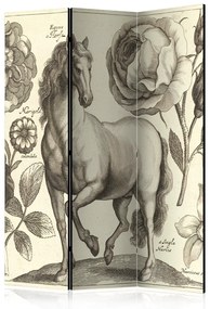Paravento design Cavallo - animale romantico con fiori su sfondo chiaro in stile retro