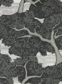 Harlequin Carta da parati Eternal Oak - Ebony/ First Light