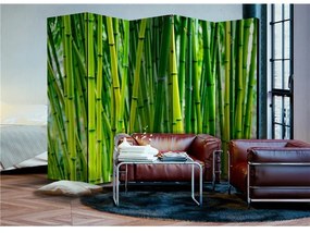 Paravento Bamboo Forest II [Room Dividers]