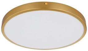 Globo 12381-22 - Plafoniera LED TIBEY LED/22W/230V diametro 35 cm