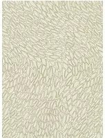Clarke & Clarke Carta da parati Corallino - Ivory