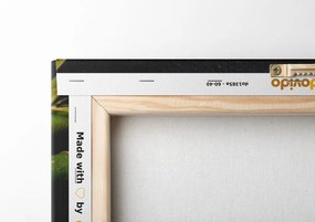 Quadro su tela – Natura morta Spa e pietre Jin e Jang