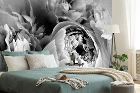 Carta da parati – Petali di fiore in bianco e nero