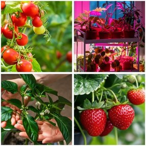 Lampada da terra dimmerabile a LED per la coltivazione di piante VITARO 4xLED/7,5W/230V nero