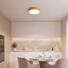 TEMAR LIGHTING Plafoniera Cleo, Ø 50 cm, IP54, colore oro, metallo, E27