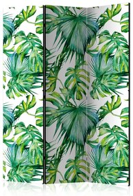 Paravento Jungle Leaves [Room Dividers]