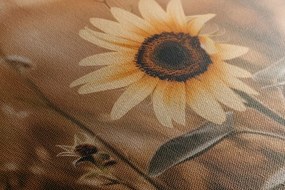 Quadro su tela – Girasoli al tramonto