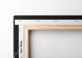 Quadro su tela – Frutta e verdura biologica
