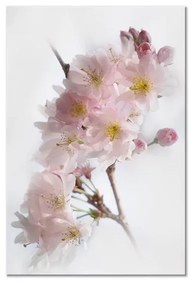 Quadro  Spring in Japan (1 Part) Vertical  Larghezza x Altezza Home decor 40x60