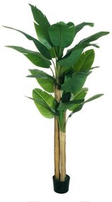 Pianta artificiale in vaso di plastica, hosta H 200 cm, Ø 20 cm