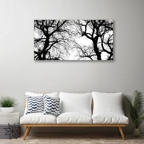 Quadro su tela Alberi della natura in bianco e nero 100x50 cm