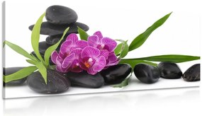 Stampa su tela – Orchidea viola in natura morta Zen