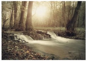 Fotomurale adesivo Forest Cascade