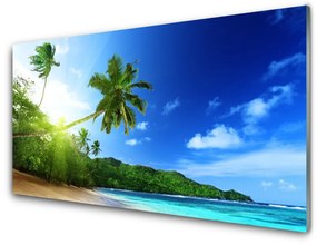 Quadro su vetro Spiaggia Mare Palma Paesaggio 100x50 cm