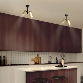 Brilagi - Faretto SELE VERTICAL 2xGU10/30W/230V nero/oro