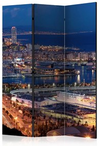 Paravento Illuminated Barcelona [Room Dividers]