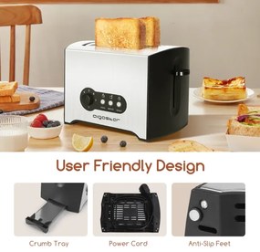 Aigostar - Tostapane a due fori 900W/230V cromo