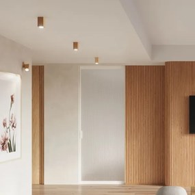 Sollux SL.1041 - Faretto KEKE 1xGU10/40W/230V 30 cm quercia