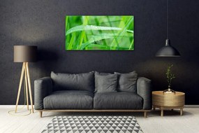 Quadro in vetro Gocce di foglie di natura rosata 100x50 cm