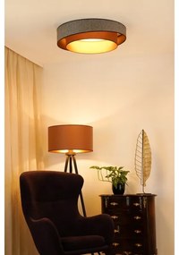 Brilagi - Luce LED dimmerabile VEGAS SHINE LED/24W/230V diametro 60 cm marrone + +TC