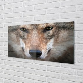Quadro acrilico Eyes Wolf 100x50 cm