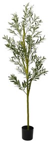 Albero Ulivo Artificiale 800 Foglie 200 Cm Verde /