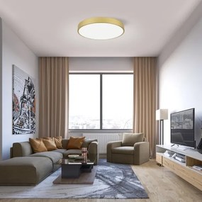 Immax NEO 07293L - LED+CCT dimmerabile plafoniera SEMPLICI 60W/230V Ø 60 cm + telecomando