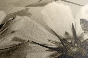 Stampa su tela – Fiori da giardino in versione seppia