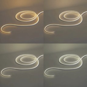 Striscia LED Smart 5 metri CCT 30W 350 lm 2700 - 6500K IP44