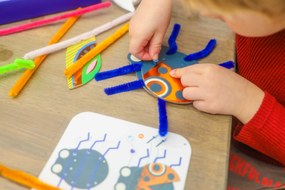 Gioco creativo - Coleotteri