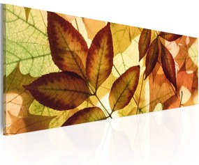 Quadro collage foglie