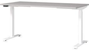 Tavolo da lavoro con altezza regolabile elettricamente 80x160 cm Jet - Germania