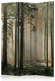 Paravento Mattina nebbiosa di novembre (3 parti) - alba e alberi della foresta