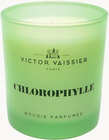 Candela profumata Chlorophylle (tulipano, vetiver & fresia)